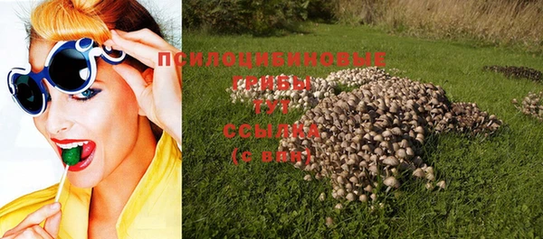 мдпв Бородино