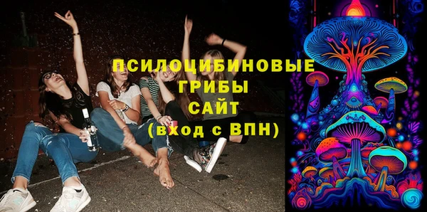 mdpv Бугульма