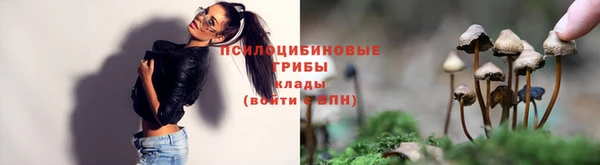 mdpv Бугульма