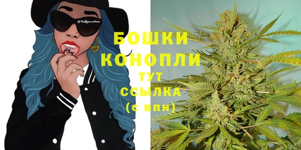 мдпв Бородино