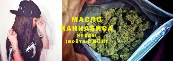 мдпв Бородино